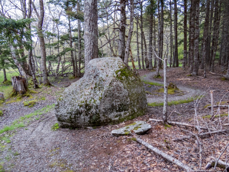 A boulder along Rogers Brook trail